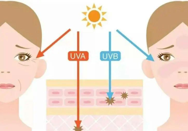 1621926422696728.png 微信截圖_20210525145842.png